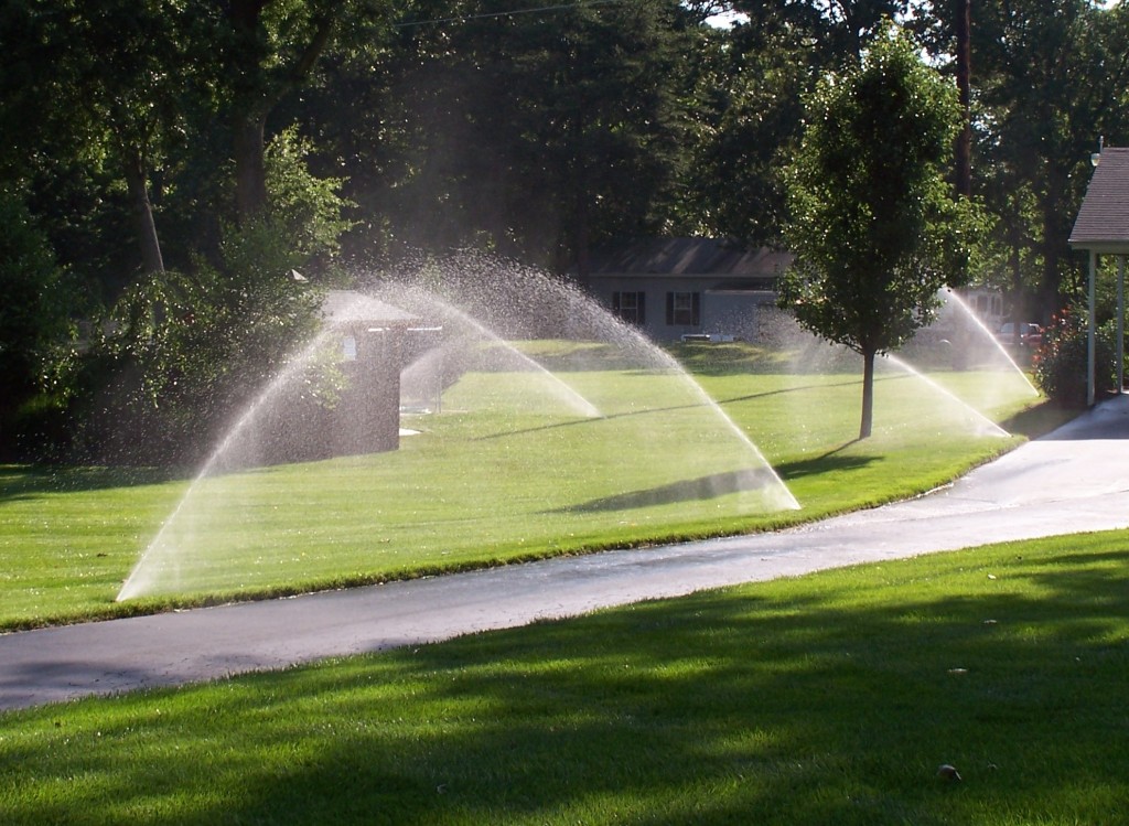 irrigation1-1024x749 irrigation1-1024x749